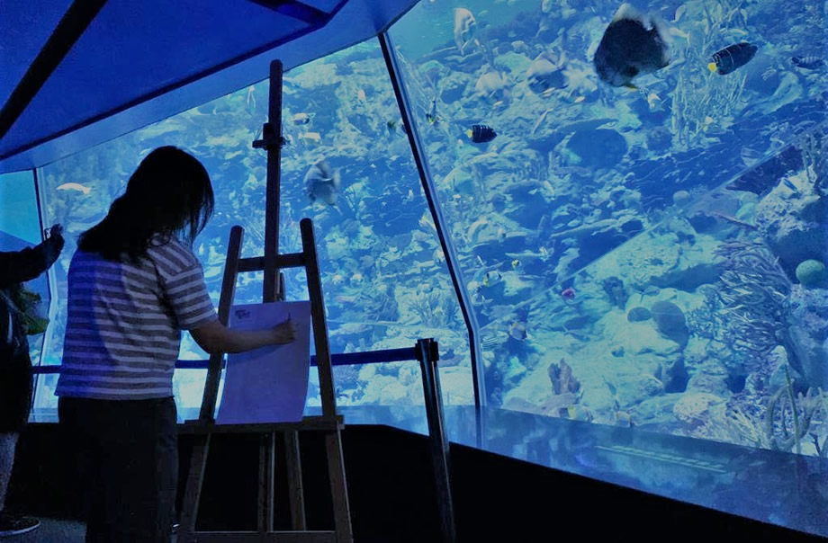 Conservation Activities