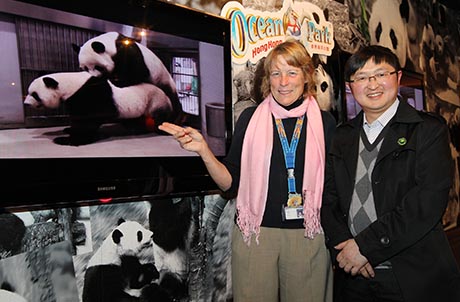 Photo 7: Ms. Suzanne Gendron, Executive Director, Zoological Operations and Education with Dr. Wang Chengdong, Director of Veterinary Service of the China Conservation and Research Centre for the Giant Panda in Wolong