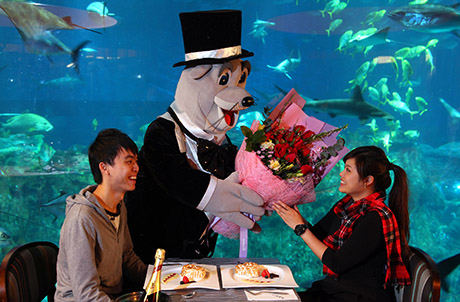 图片说明: 海洋公园诚意推出一站式情人节套餐让你与爱侣玩尽海洋公园兼享浪漫套餐。