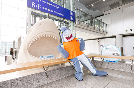 圖三及四: 保育展覽會展出兩件以鯊魚為題的大型仿沙雕塑，並設置教育展板，向本地市民及到訪香港的遊客宣揚鯊魚保育。