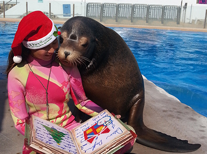 Terry the sea lion snuggles up close to take a closer look at the colourful illustrations as an animal keeper tells him a holiday.
