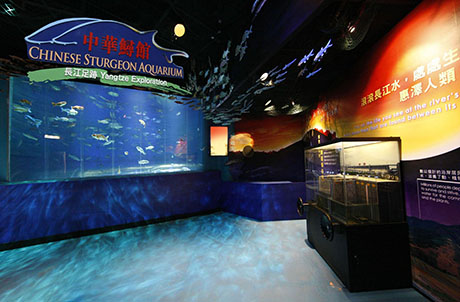 Photo 2: Chinese Sturgeon Aquarium – Yangtze Exploration
