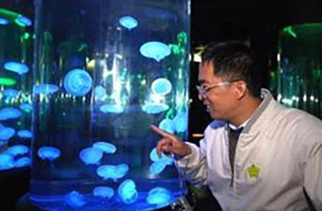 來自河南的劉先生表示「水母萬花筒」設計精緻，別具特色。他又說：「海洋公園展出多種海洋生物，令我對海底世界的認識加深了不少，很感謝園方今天的熱情招待！」