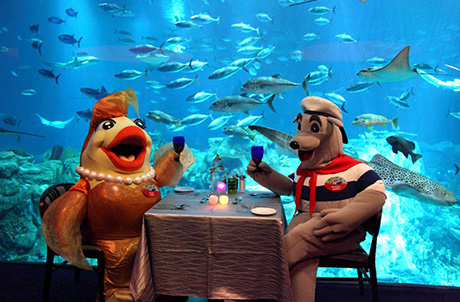 海洋公园吉祥物俏鱼姬(图左)与威威狮令(图右)于位处「海洋奇观」的海龙王餐厅享用烛光晚餐