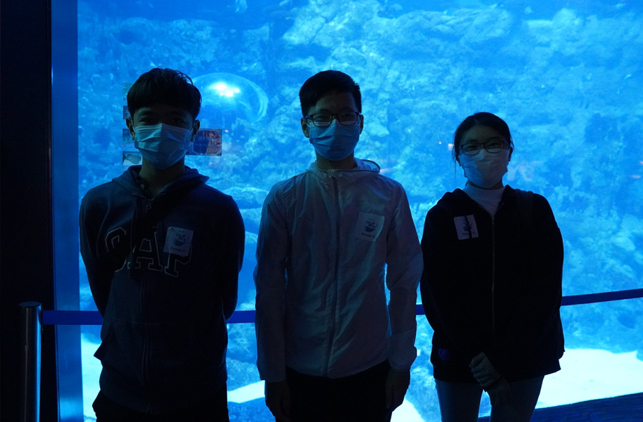 攝於11月28日工作坊後，我們參觀了海洋奇觀，了解不同種類的海洋生物的生活習性