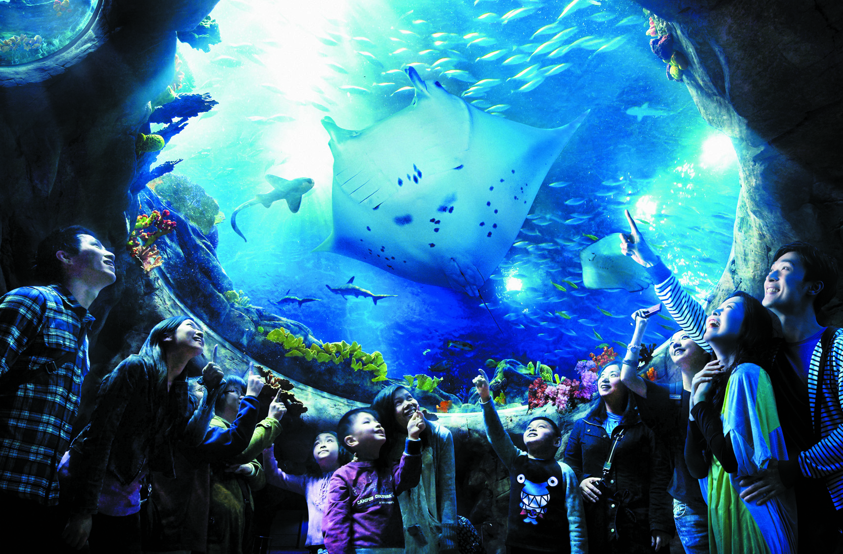 The Grand Aquarium