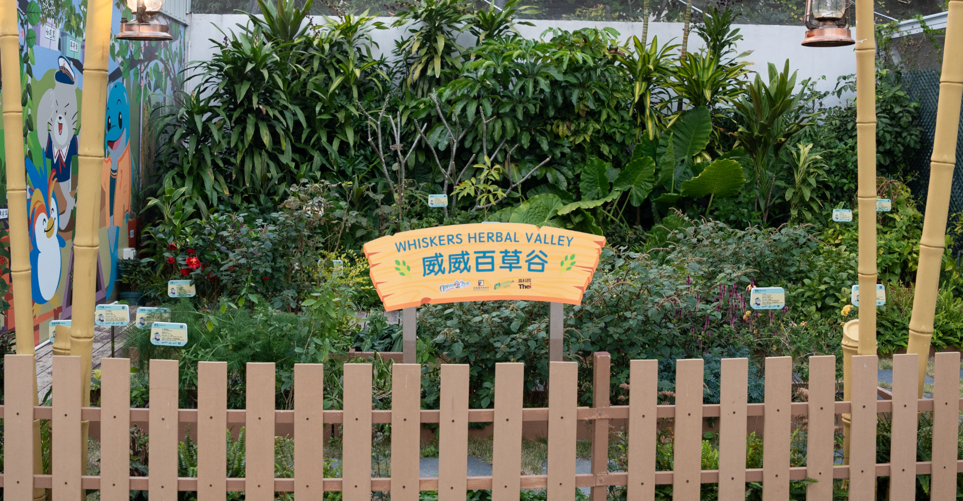 https://media.oceanpark.cn/files/s3fs-public/HLK06382-fotor-20250217183714.jpg