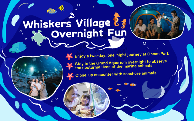 https://media.oceanpark.cn/files/s3fs-public/OP-Whiskers-Village-innerpage-banner-mobile-en.jpg