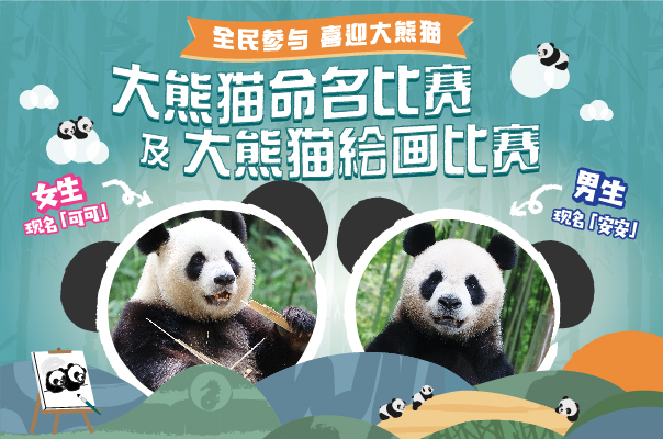 https://media.oceanpark.cn/files/s3fs-public/giant-panda-2024-innerpage-mobile-sc.jpg