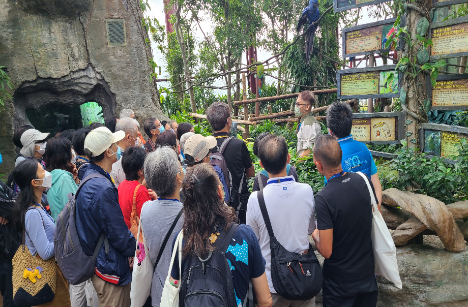 黃金導賞員正在學習如何向遊客介紹金剛鸚鵡的保育資訊。