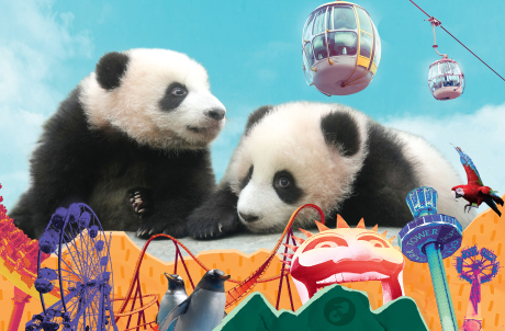 Gather Family & Friends for Ultimate Thrills – “2-/3-Can-Go” Adult Ticket Package!