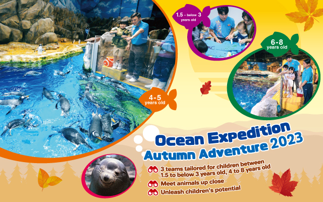 https://media.oceanpark.cn/files/s3fs-public/op-autumn-adventure-2023-innerpage-banner-mobile-en_1.jpg