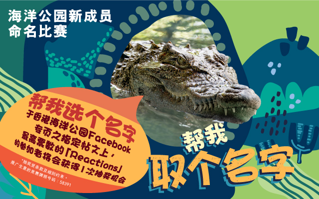 https://media.oceanpark.cn/files/s3fs-public/op-crocodile-naming-vote-innerpage-banner-mobile-sc.jpg