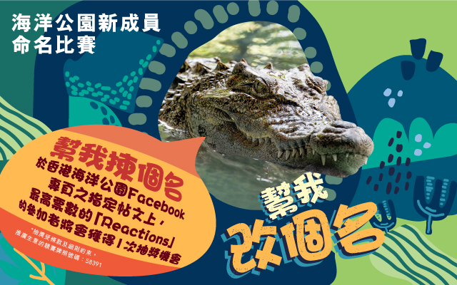 https://media.oceanpark.cn/files/s3fs-public/op-crocodile-naming-vote-innerpage-banner-mobile-tc.jpg