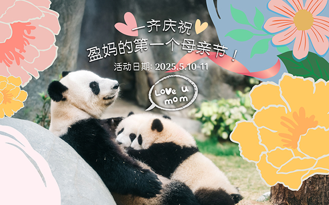 https://media.oceanpark.cn/files/s3fs-public/op-mothers-day-inner-mobile-sc.jpg