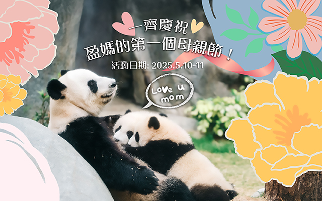 https://media.oceanpark.cn/files/s3fs-public/op-mothers-day-inner-mobile-tc.jpg