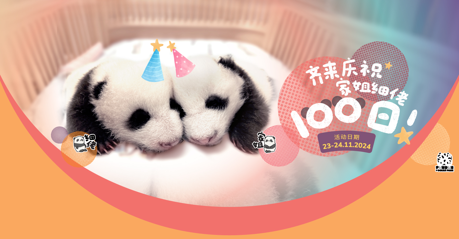 https://media.oceanpark.cn/files/s3fs-public/op-panda-100days-1920x1000-sc.jpg