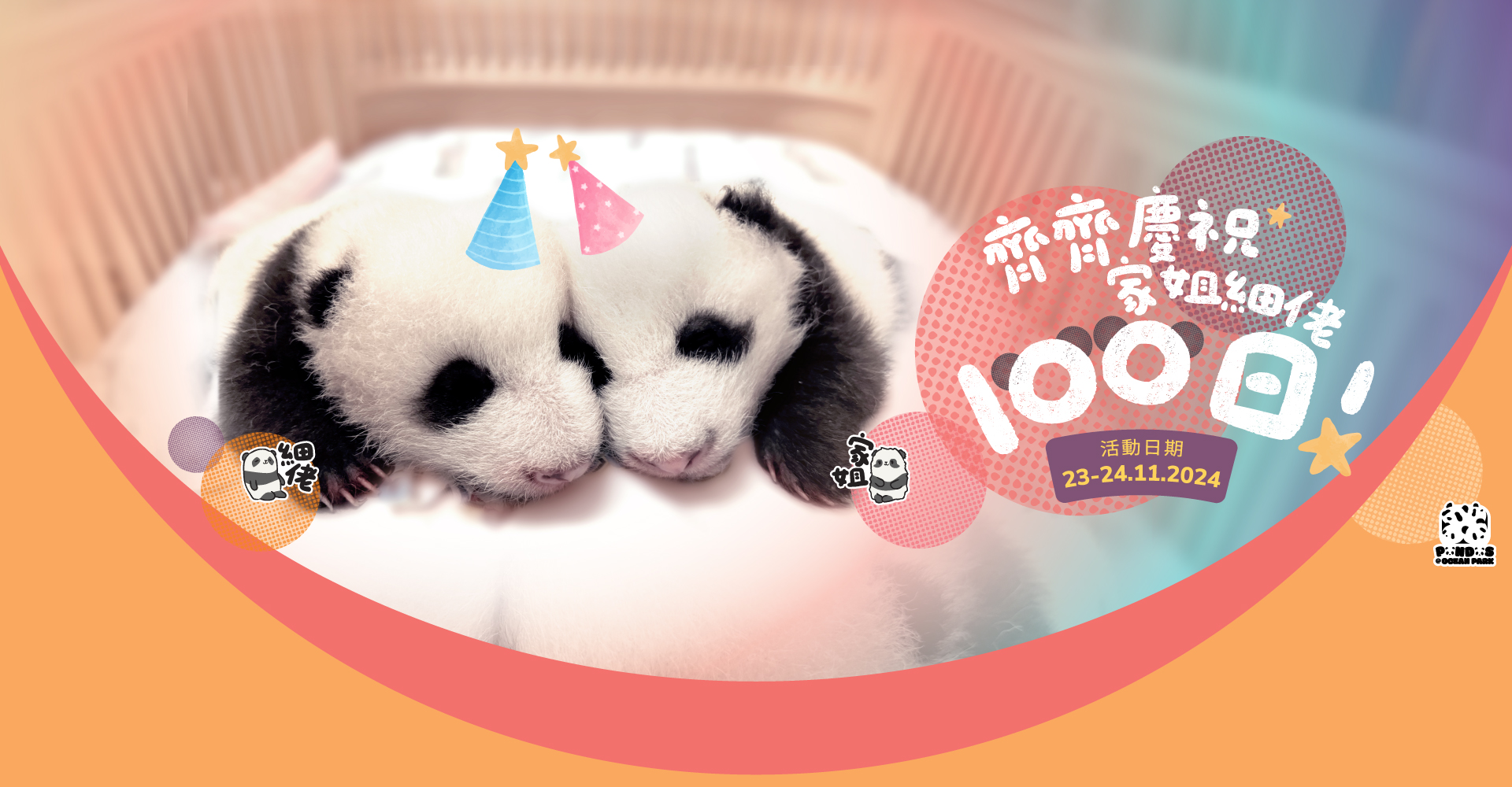 https://media.oceanpark.cn/files/s3fs-public/op-panda-100days-1920x1000-tc.jpg