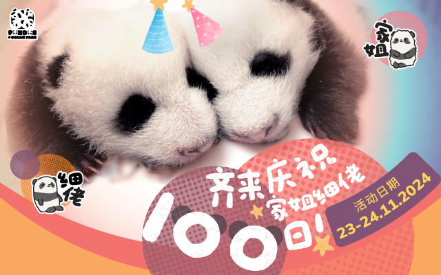 https://media.oceanpark.cn/files/s3fs-public/op-panda-100days-640x400-sc.jpg