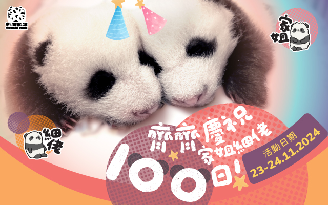 https://media.oceanpark.cn/files/s3fs-public/op-panda-100days-640x400-tc.jpg