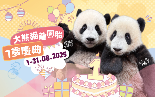 https://media.oceanpark.cn/files/s3fs-public/op-panda-cubs-one-year-old-innerpage-mobile-tc.jpg