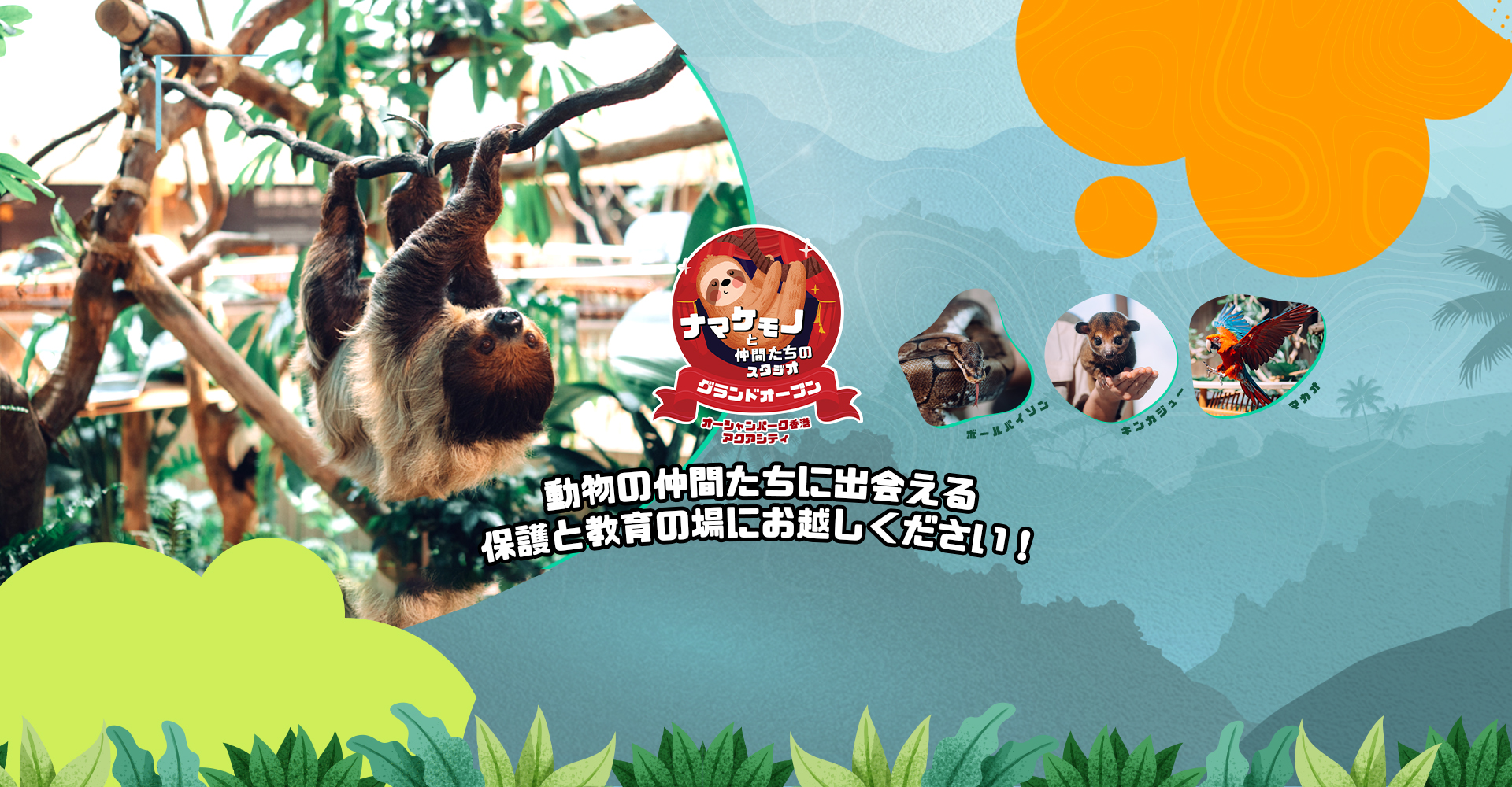 https://media.oceanpark.cn/files/s3fs-public/op-sloth-friends-studio-innerpage-banner-desktop-jp.jpg