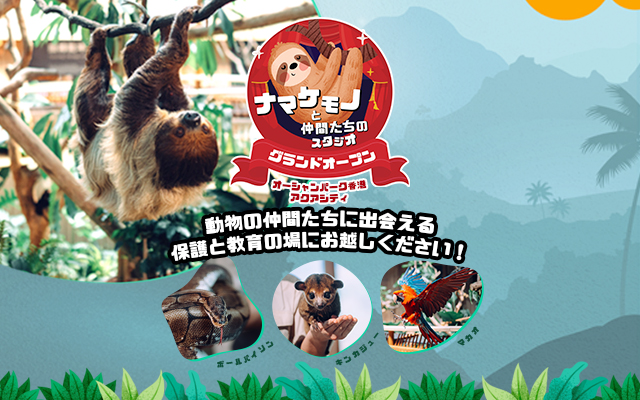 https://media.oceanpark.cn/files/s3fs-public/op-sloth-friends-studio-innerpage-banner-mobile-jp.jpg