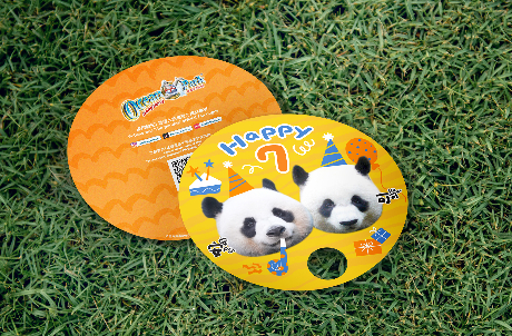 Happy 7th to An An &amp; Ke Ke: Limited-Edition Fan Giveaway