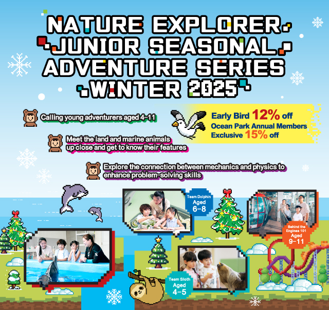 Winter Adventure Homepage Banner mobile