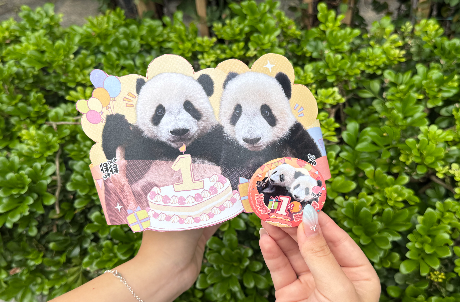 生日共庆：免费派发生日头带及襟章