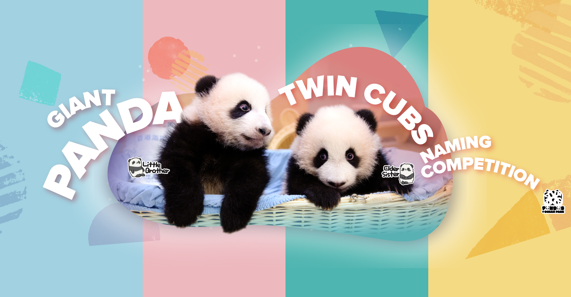 https://media.oceanpark.cn/files/s3fs-public/panda-twin-cubs-naming-desktop-en.jpg