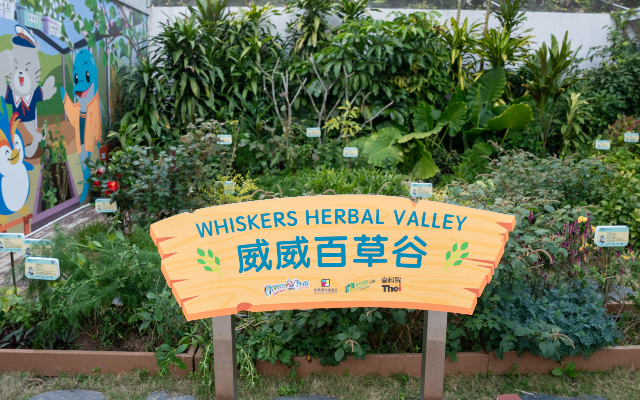 https://media.oceanpark.cn/files/s3fs-public/whiskers-herbal-valley-01-mobile.jpg