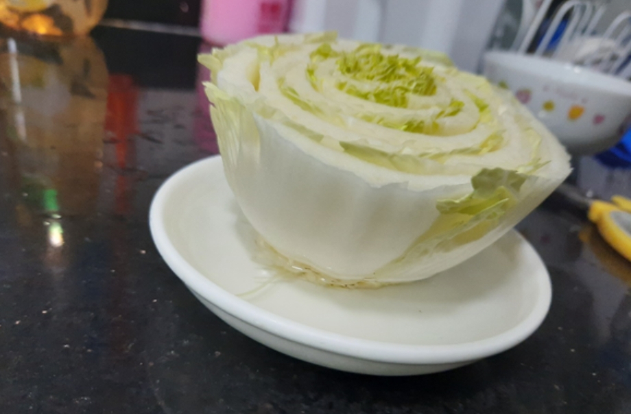 為了清晰拍到整個大白菜，因此暫時用碟子碗載，而平日我是用碗載着大白菜，而且，在種植首兩日，大白菜的中間表面的葉已長高2cm